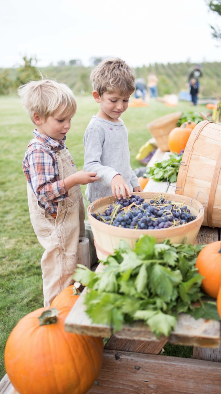 Harvest Festival SignUp Landing Page